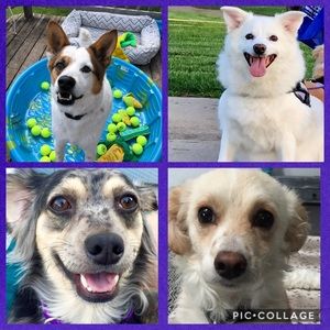 Meet your Posher, Pam